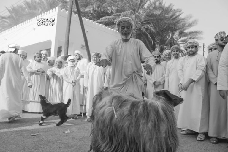 A crier calls out to buyers at a traditional Omani livestock market