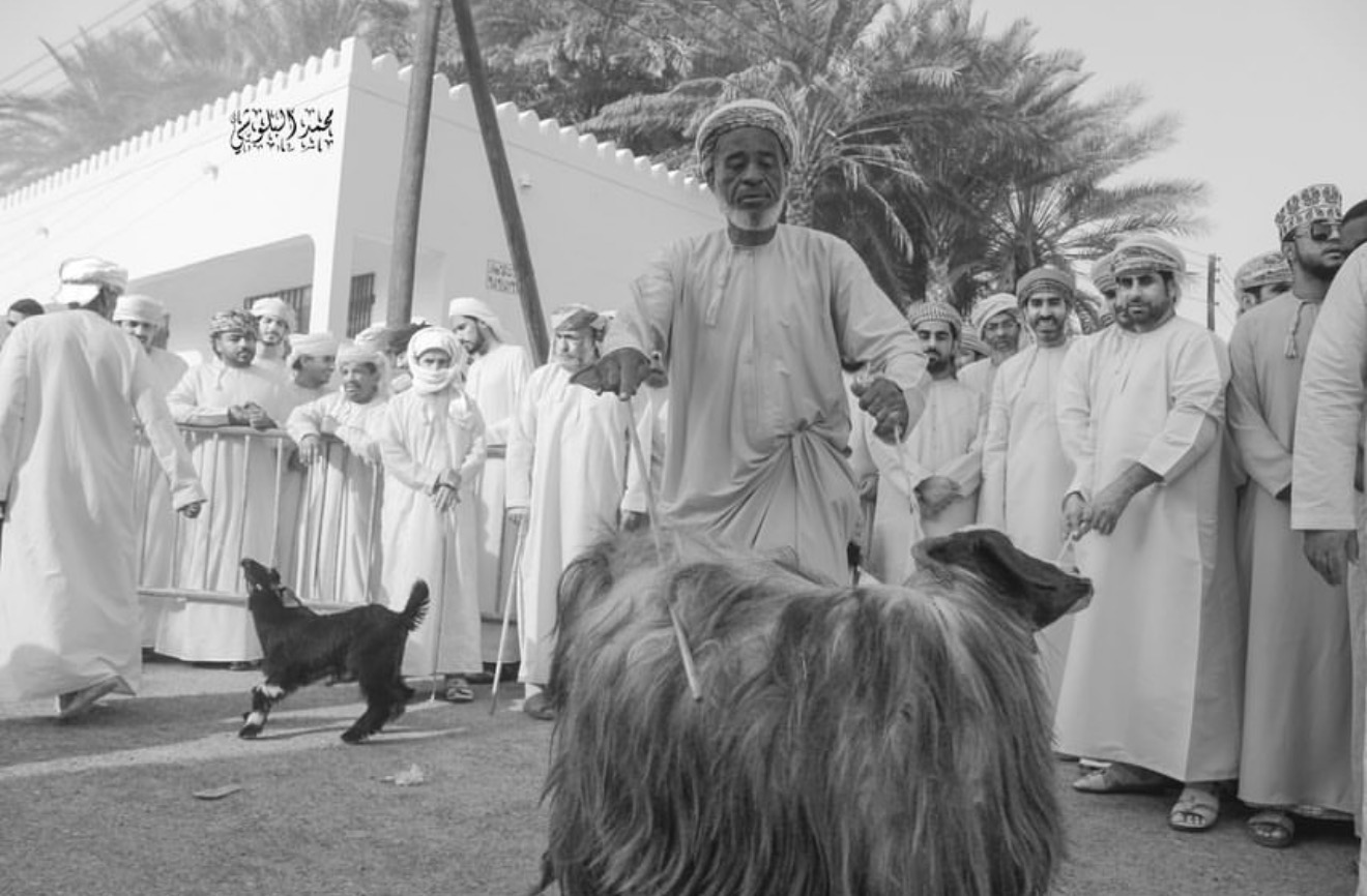 A crier calls out to buyers at a traditional Omani livestock market